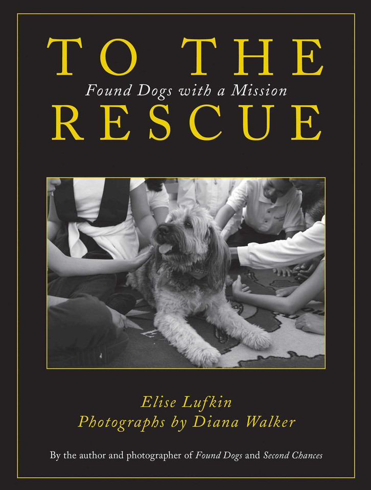 To the Rescue: Found Dogs with a Mission book cover by Elise Lufkin