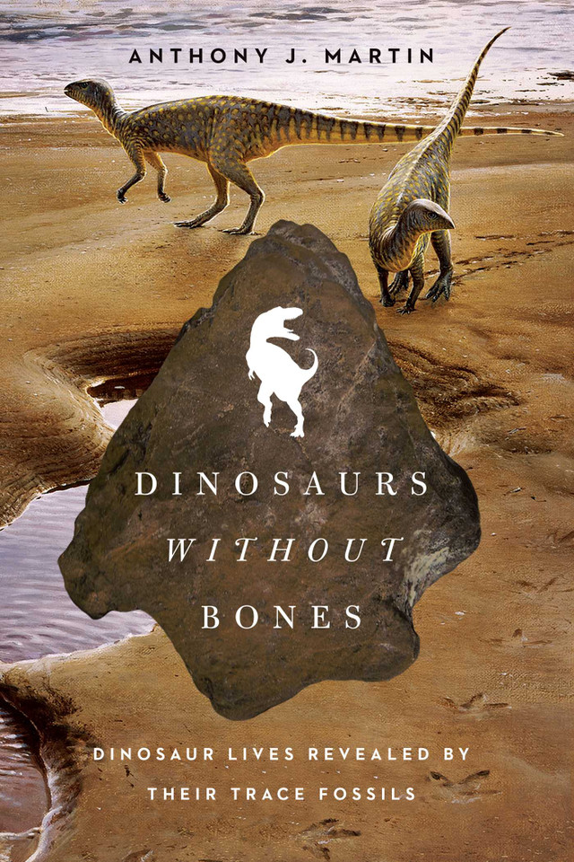 Dinosaurs Without Bones: Dinosaur Lives Revealed by Their Trace Fossils book cover by Anthony J Martin