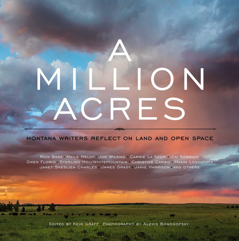 A Million Acres: Montana Writers Reflect on Land and Open Space book cover by 