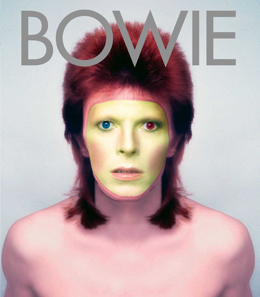 Bowie: Album by Album book cover by Paolo Hewitt