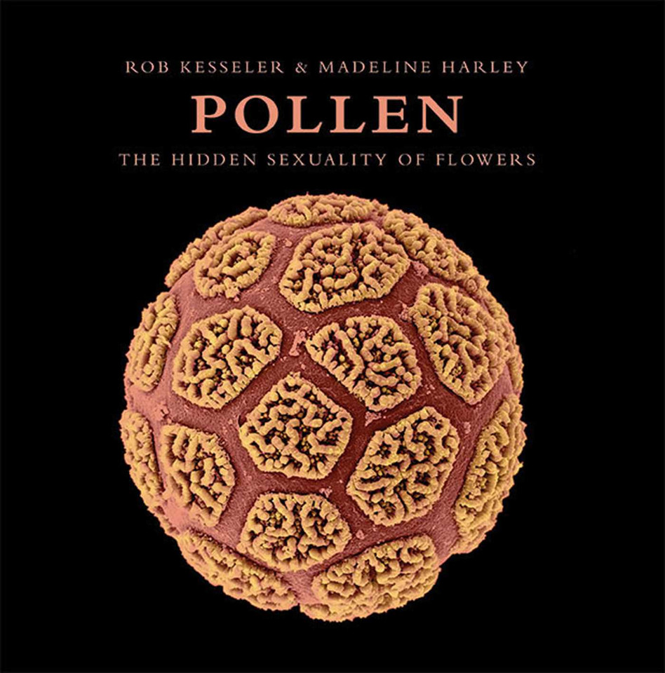 Pollen: The Hidden Sexuality of Flowers book cover by Rob Kesseler
