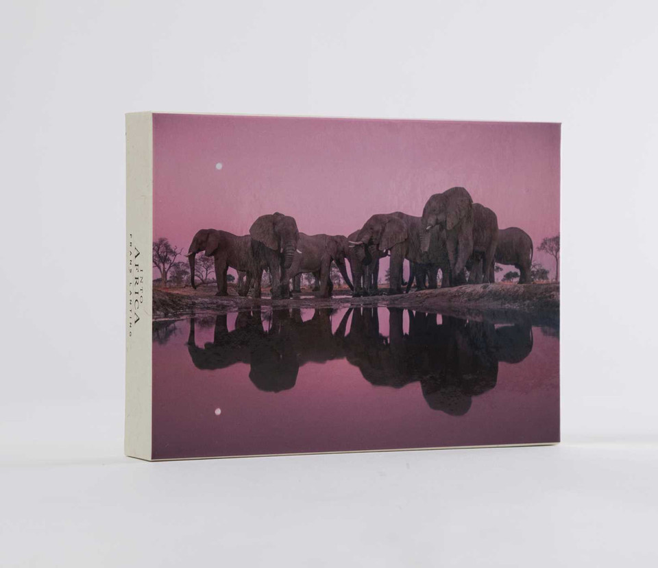 Into Africa: Blank Boxed Notecards book cover by 