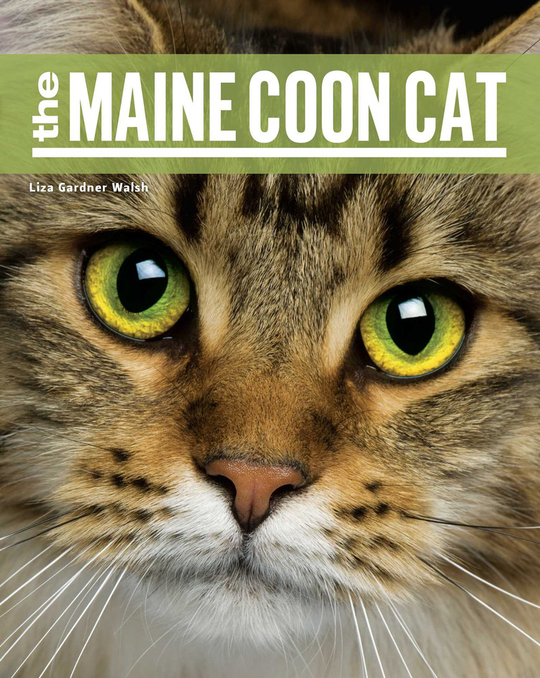 The Maine Coon Cat book cover by Liza Gardner Walsh