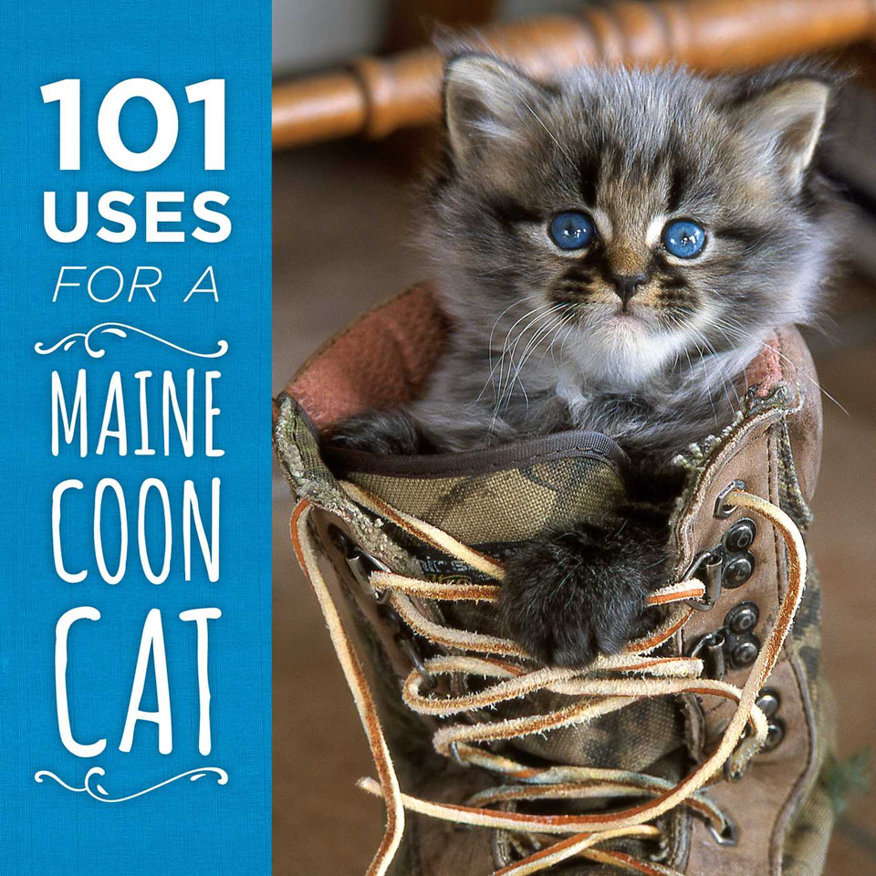 101 Uses for a Maine Coon Cat book cover by Down East Books