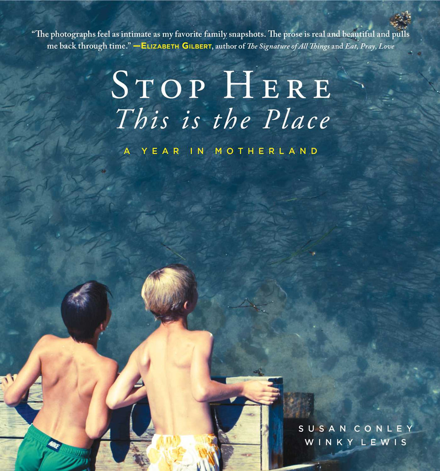 Stop Here, This is the Place book cover by Susan Conley