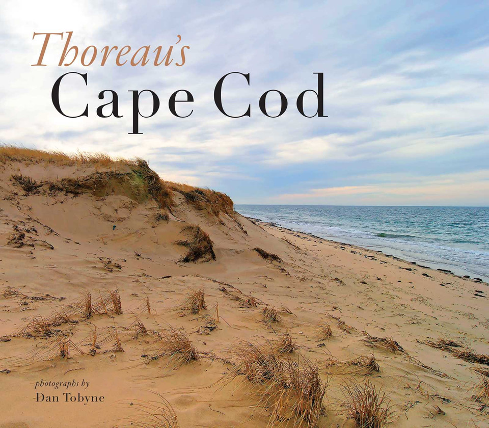 Thoreau's Cape Cod book cover by Dan Tobyne