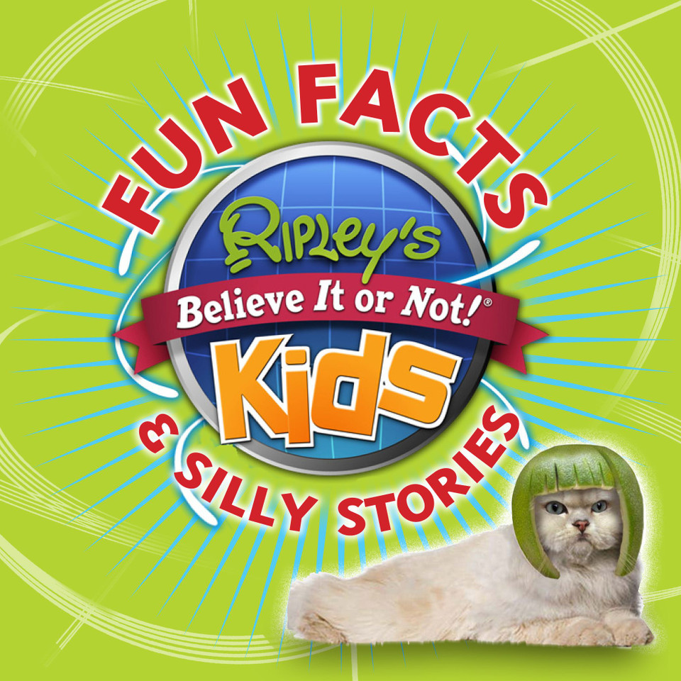 Ripley's Fun Facts & Silly Stories 1 (Fun Facts) book cover by Ripley's Believe It Or Not!