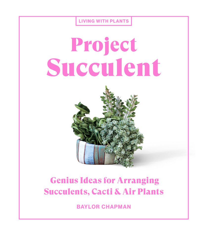 Project Succulent: Genius Ideas for Arranging Succulents, Cacti & Air Plants (Living with Plants) book cover by Baylor Chapman