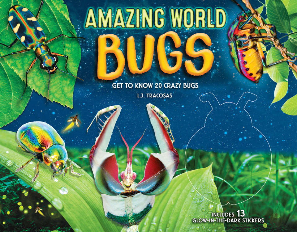 Amazing World: Bugs: Get to know 20 crazy bugs (Amazing World #1) book cover by L. J. Tracosas