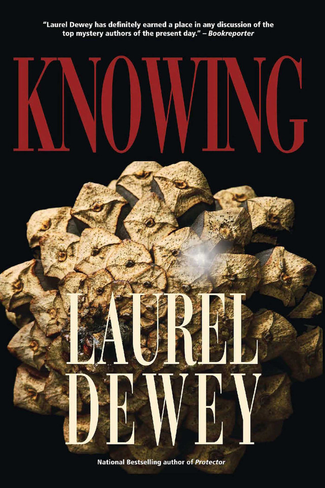 Knowing (Jane Perry Mysteries) book cover by Laurel Dewey