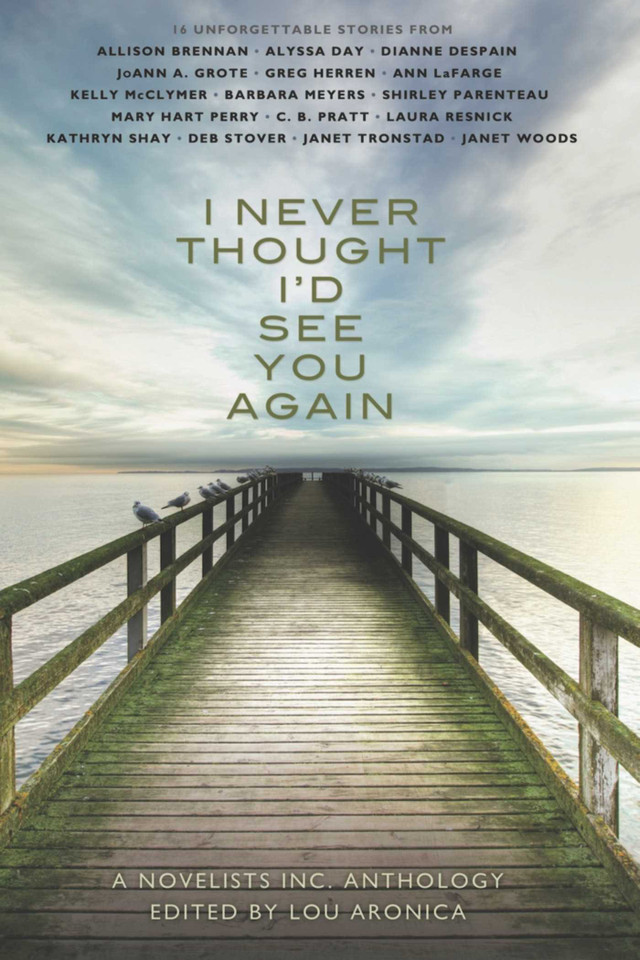 I Never Thought I'd See You Again book cover by 