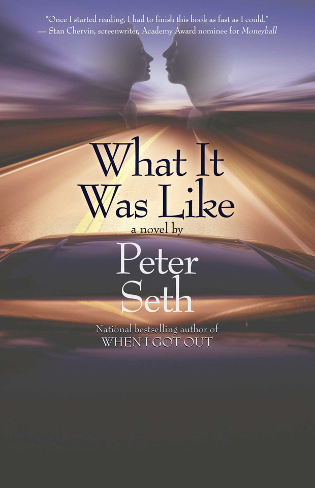 What It Was Like book cover by Peter Seth