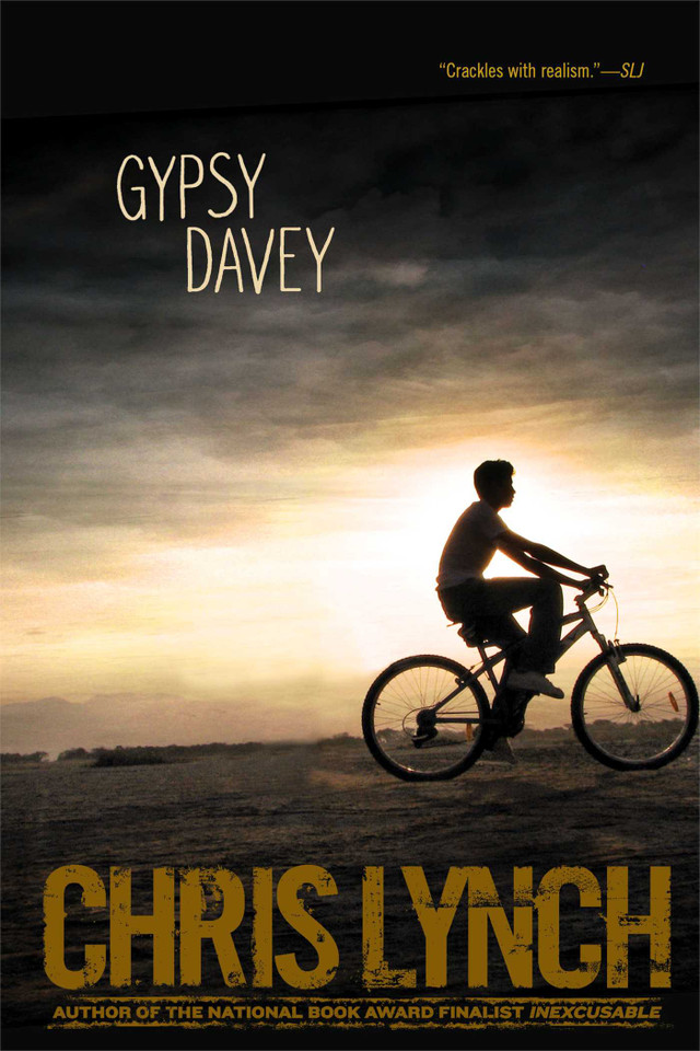 Gypsy Davey book cover by Chris Lynch