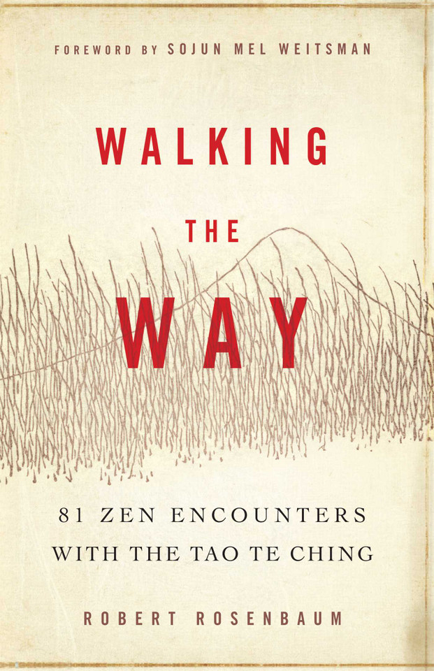 Walking the Way: 81 Zen Encounters with the Tao Te Ching book cover by Robert Rosenbaum