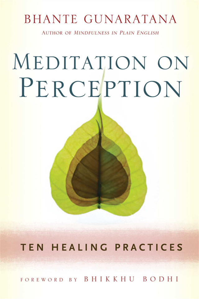 Meditation on Perception: Ten Healing Practices to Cultivate Mindfulness book cover by Henepola Gunaratana
