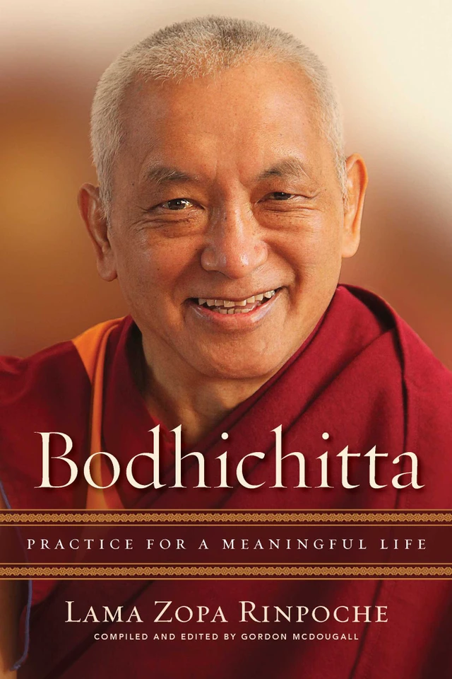 Bodhichitta: Practice for a Meaningful Life book cover by Lama Zopa Rinpoche
