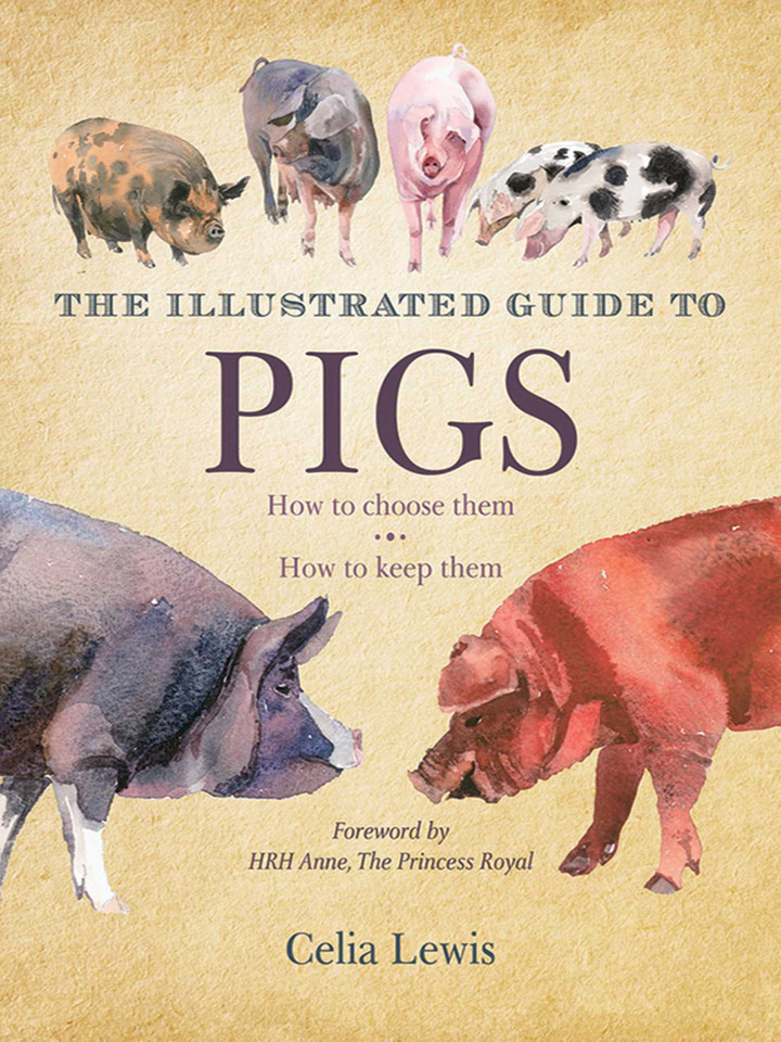 The Illustrated Guide to Pigs: How to Choose Them, How to Keep Them book cover by Celia Lewis