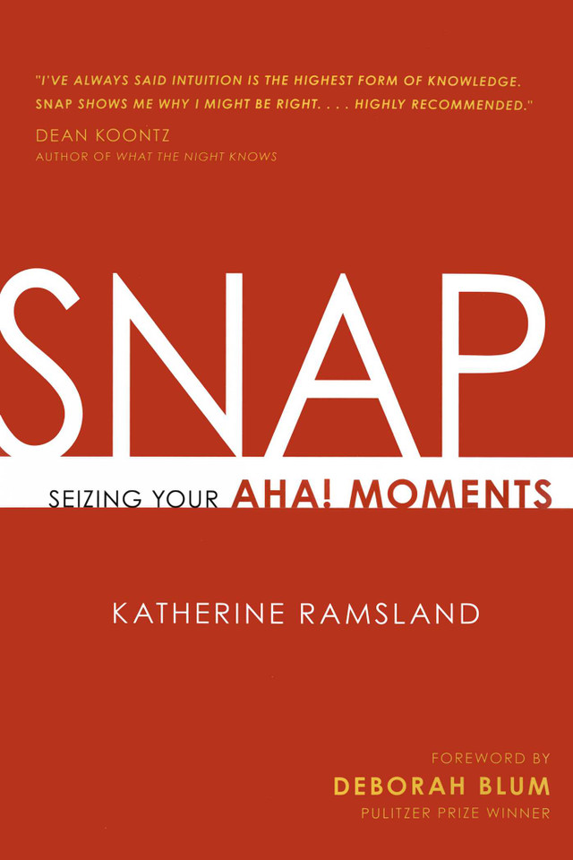 SNAP: Seizing Your Aha! Moments book cover by Katherine Ramsland