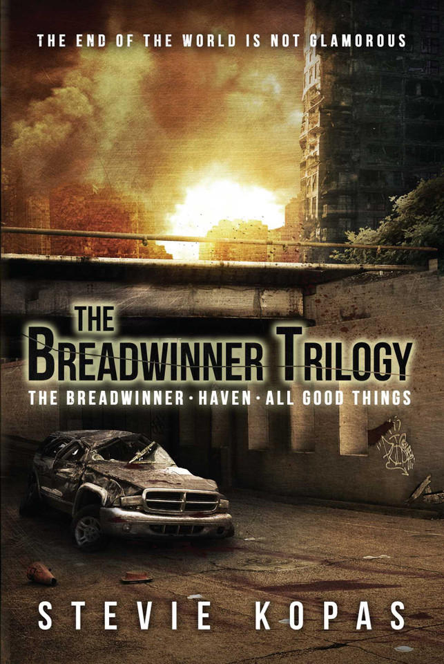 The Breadwinner Trilogy: The Breadwinner, Haven, All Good Things (The Breadwinner) book cover by Stevie  Kopas