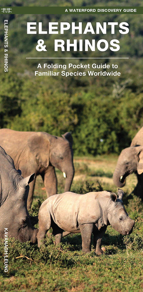 Elephants & Rhinos (Discovery) book cover by James Kavanagh, Waterford Press