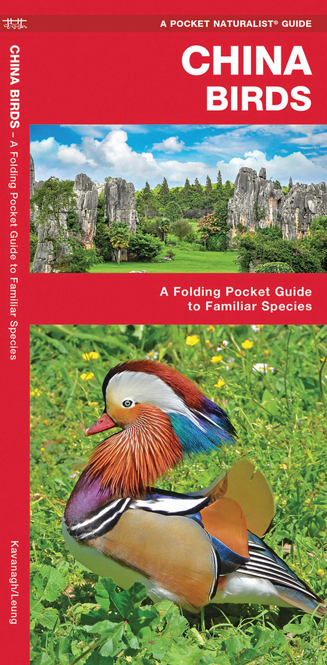 China Birds (Nature Observation International) book cover by James Kavanagh