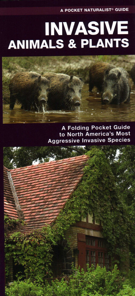 Invasive Animals & Plants: A Folding Pocket Guide to North America's Most Aggressive Invasive Species (Nature Observation North America) book cover by James Kavanagh