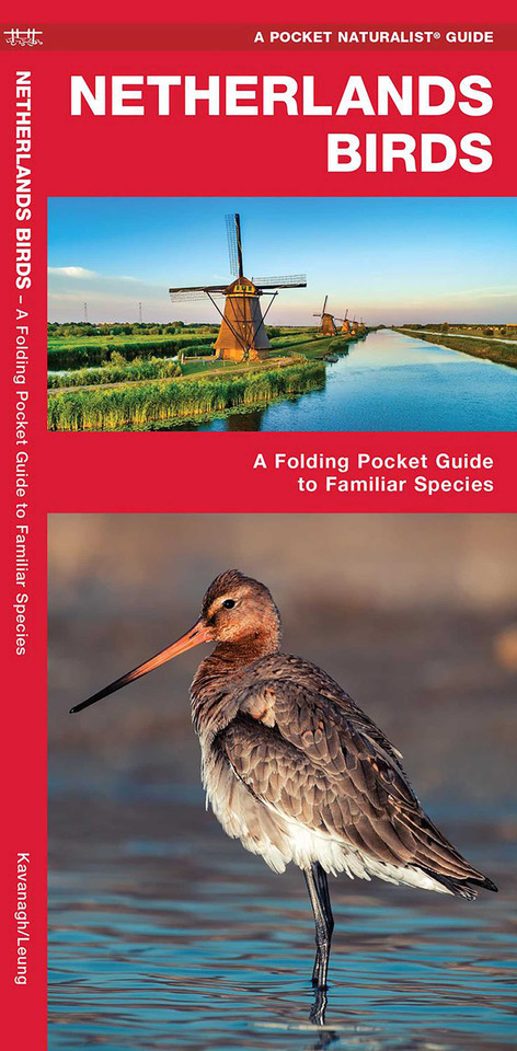 Netherlands Birds: A Folding Pocket Guide to Familiar Species (Nature Observation International) book cover by James Kavanagh, Waterford Press