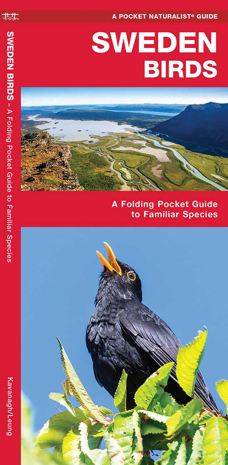 Sweden Birds: A Folding Pocket Guide to Familiar Species (Nature Observation International) book cover by James Kavanagh, Waterford Press