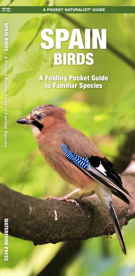 Spain Birds: A Folding Pocket Guide to Familiar Species (Wildlife and Nature Identification) book cover by James Kavanagh