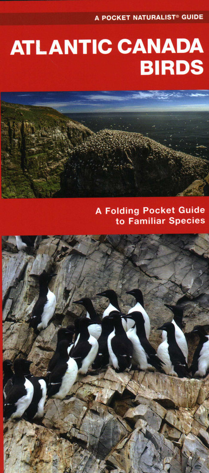 Atlantic Canada Birds (Nature Observation North America) book cover by James Kavanagh, Waterford Press