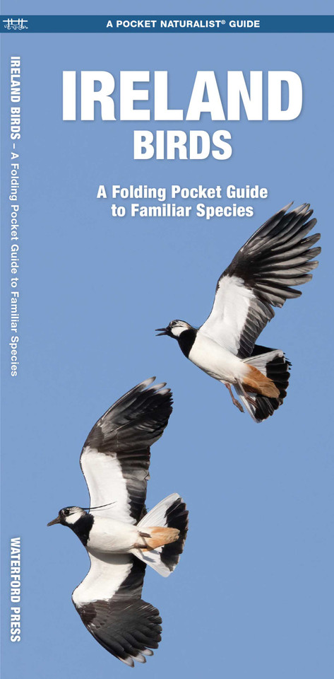 Ireland Birds: A Folding Pocket Guide to Familiar Species (Wildlife and Nature Identification) book cover by James Kavanagh