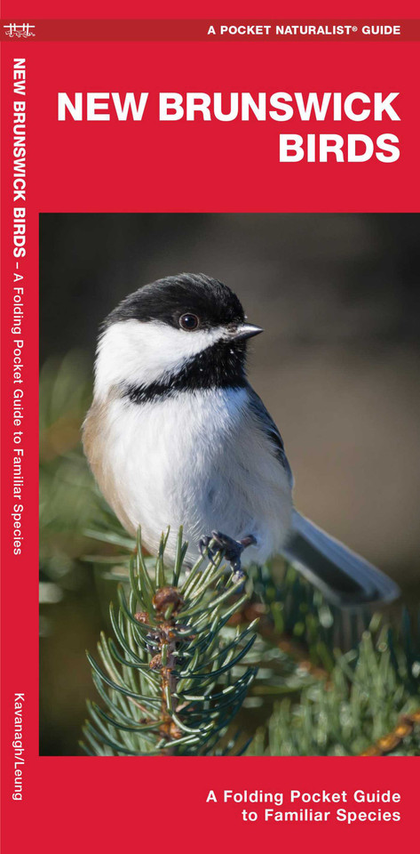 New Brunswick Birds: A Folding Pocket Guide to Familiar Species (Wildlife and Nature Identification) book cover by James Kavanagh