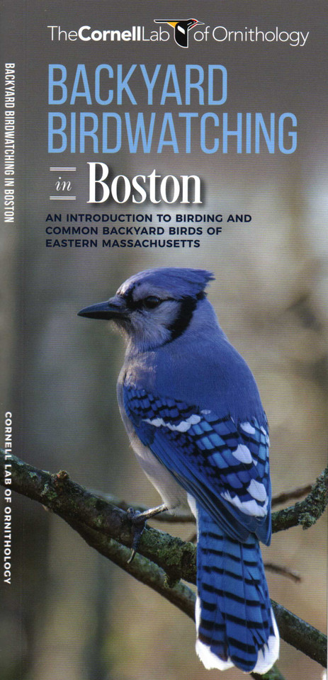 Backyard Birdwatching in Boston: An Introduction to Birding and Common Backyard Birds of Eastern Massachusetts (Wildlife and Nature Identification) book cover by The Cornell Lab of Ornithology