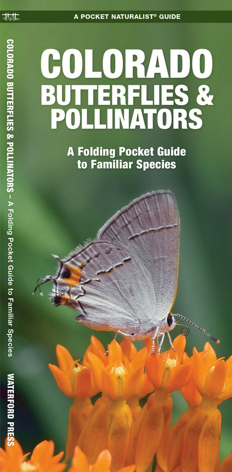 Colorado Butterflies & Pollinators (Nature Observation North America) book cover by James Kavanagh
