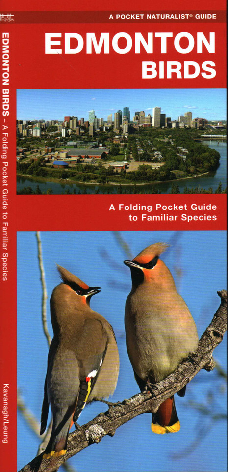 Edmonton Birds: A Folding Pocket Guide to Familiar Species (Wildlife and Nature Identification) book cover by James Kavanagh