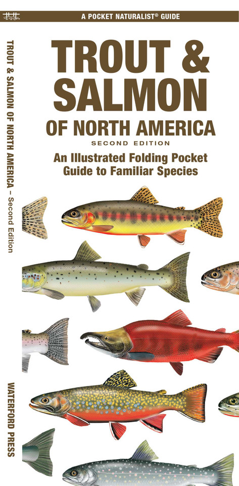 Trout & Salmon of North America, 2nd Ed (Nature Observation North America) book cover by James Kavanagh