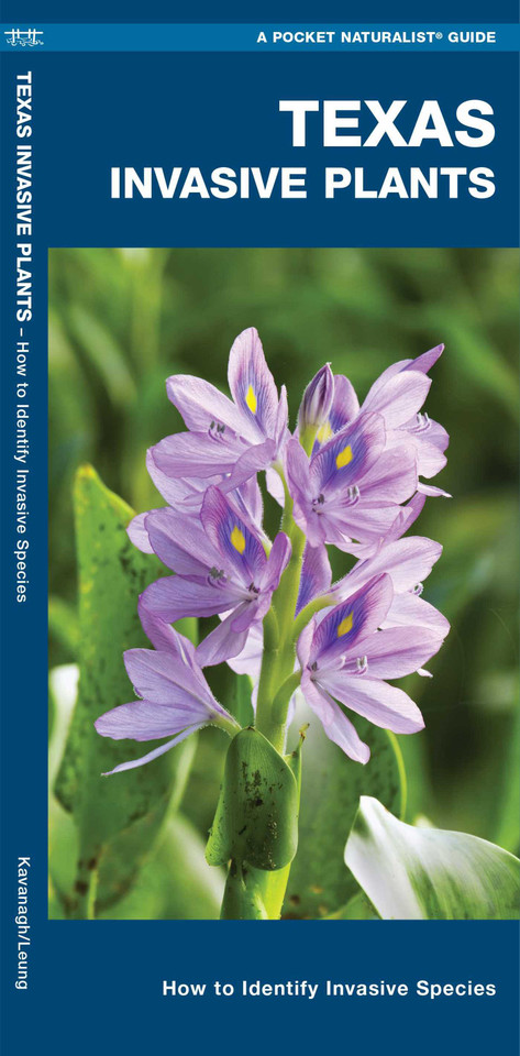 Texas Invasive Plants: An Introduction to Familiar Species book cover by James Kavanagh