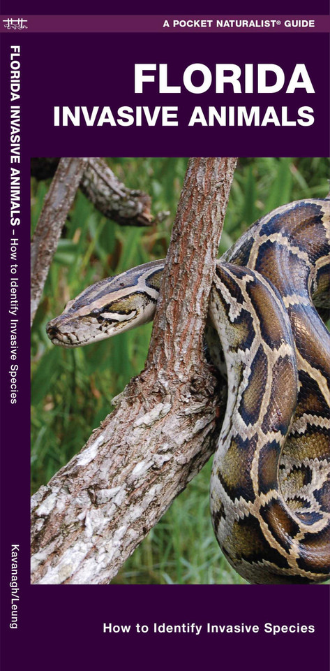 Florida Invasive Animals: How to Identify Invasive Species book cover by James Kavanagh