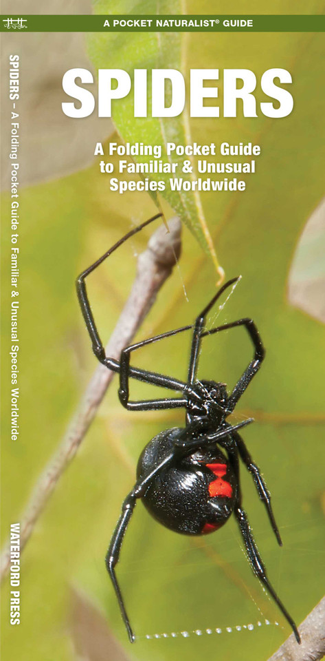 Spiders: A Folding Pocket Guide to Familiar & Unusual Species Worldwide (Waterford Discovery Guide) book cover by James Kavanagh