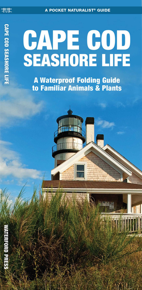 Cape Cod Seashore Life: A Folding Guide to Familiar Animals & Plants book cover by J.M. Kavanagh
