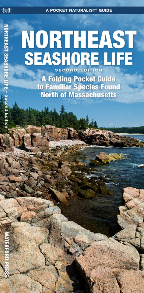 Northeast Seashore Life, 2nd Ed (Nature Observation North America) book cover by J.M. Kavanagh