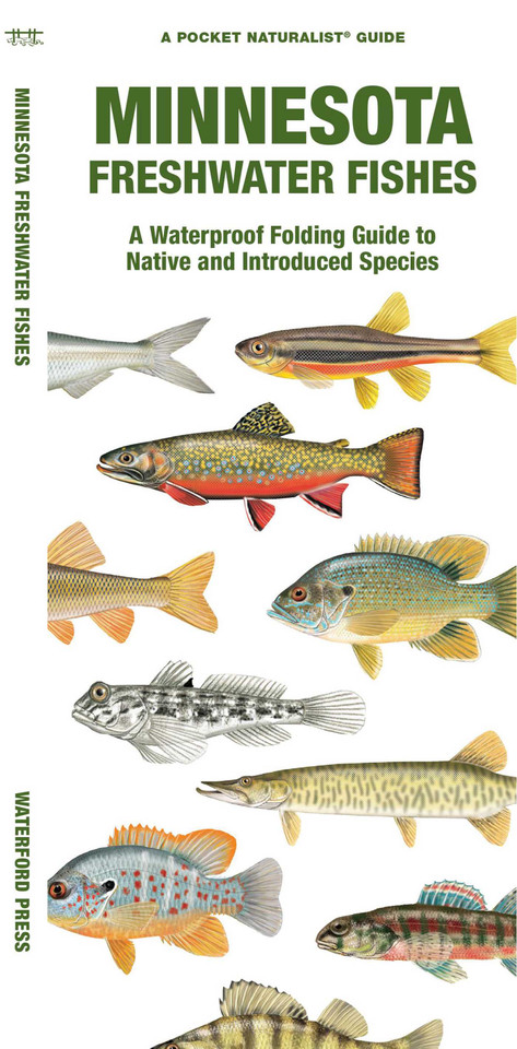 Minnesota Freshwater Fishes (Nature Observation North America) book cover by Matthew Morris, Waterford Press