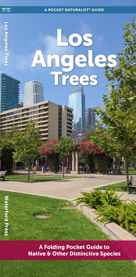 Los Angeles Trees: A Folding Pocket Guide to Native & Other Distinctive Species (Urban Trees) book cover by J.M. Kavanagh