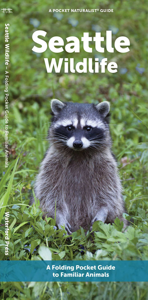 Seattle Wildlife: A Folding Pocket Guide to Familiar Animals (Nature Observation North America) book cover by J.M. Kavanagh
