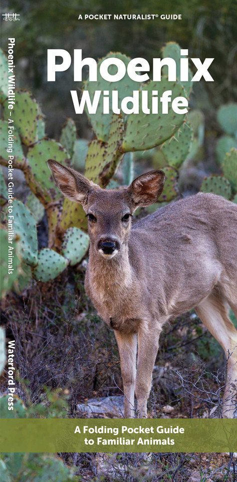 Phoenix Wildlife: A Folding Pocket Guide to Familiar Animals (Urban Wildlife) book cover by J.M. Kavanagh