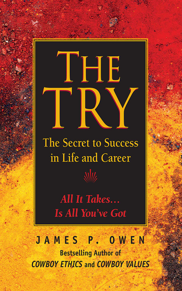 The Try: The Secret to Success in Life and Career book cover by James P. Owen