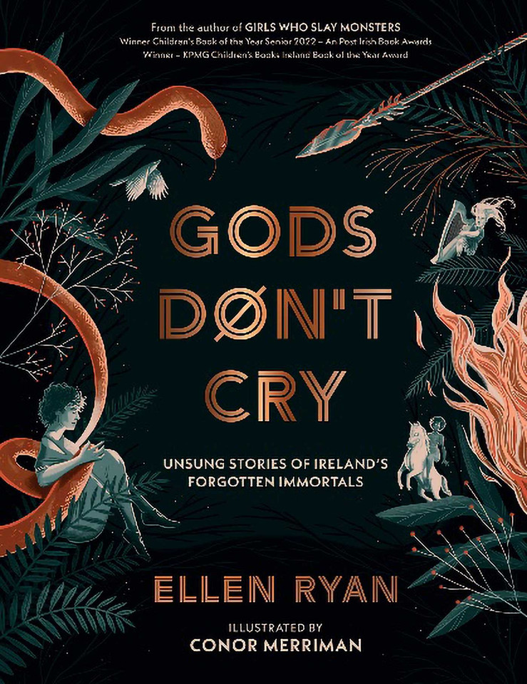 Gods Don't Cry: Unsung Stories of Ireland's Forgotten Immortals book cover by Ellen Ryan