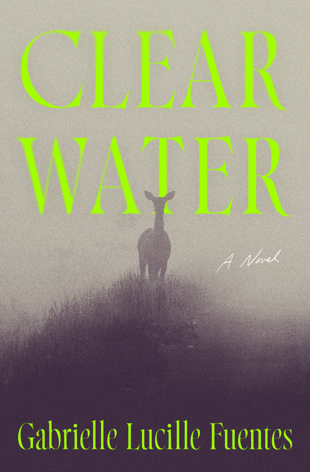 Clear Water: A Novel book cover by Gabrielle Lucille Fuentes