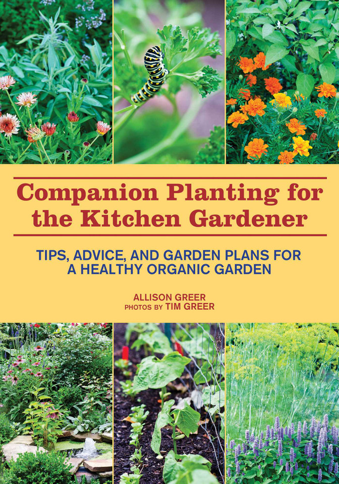 Companion Planting for the Kitchen Gardener: Tips, Advice, and Garden Plans for a Healthy Organic Garden book cover by Allison Greer