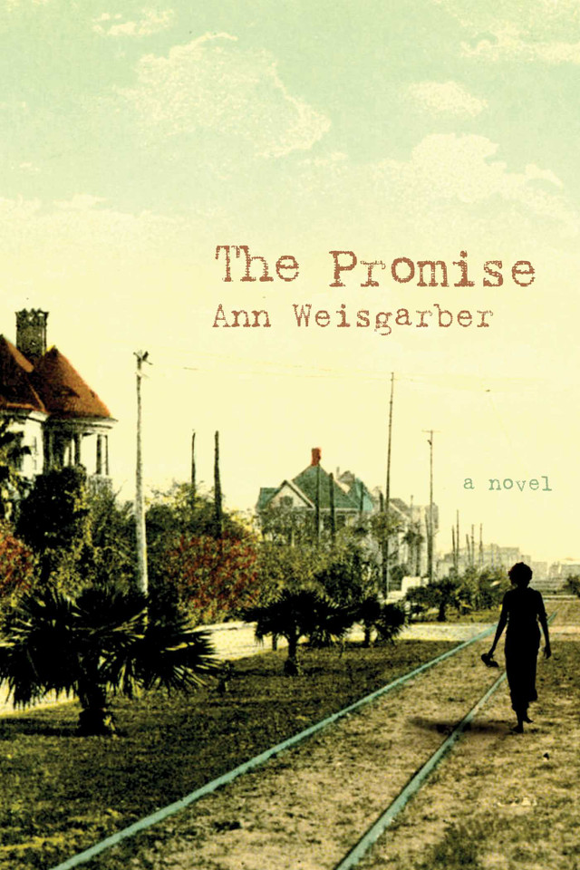 The Promise book cover by Ann Weisgarber